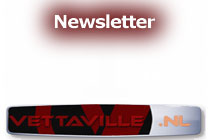 Newsletter Vettaville.nl