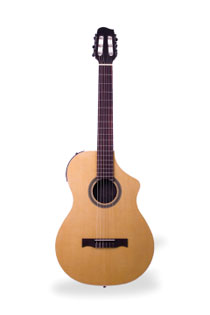 Variax Acoustic Nylon string