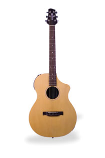 Variax acoustic 300 Steelstring