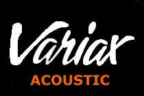 variax acoustic logo